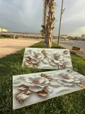CADRE DECORATIVE