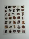 Water proof cat stickers sheet