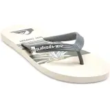 Tong QuikSilver  Java Flipflop Beige