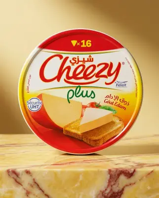 شيزي تحضيرة جبنية 16