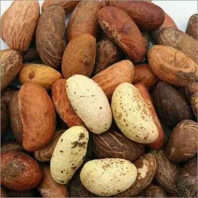 كولا