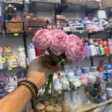 Fleur fanée
