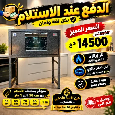 فرن الأسد / Four Le Lion