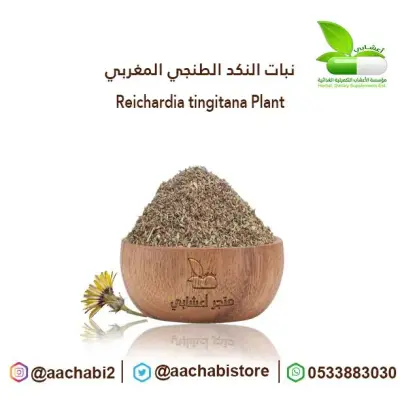النقد