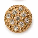 Broche  Salon Plastique B01