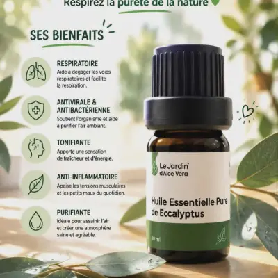 Huile essentille d'eucalyptus زيت الكاليتوس