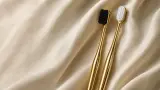 Brosse à Dents Luxe – Manche Doré Premium ✨