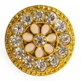 Broche  Salon Plastique B05