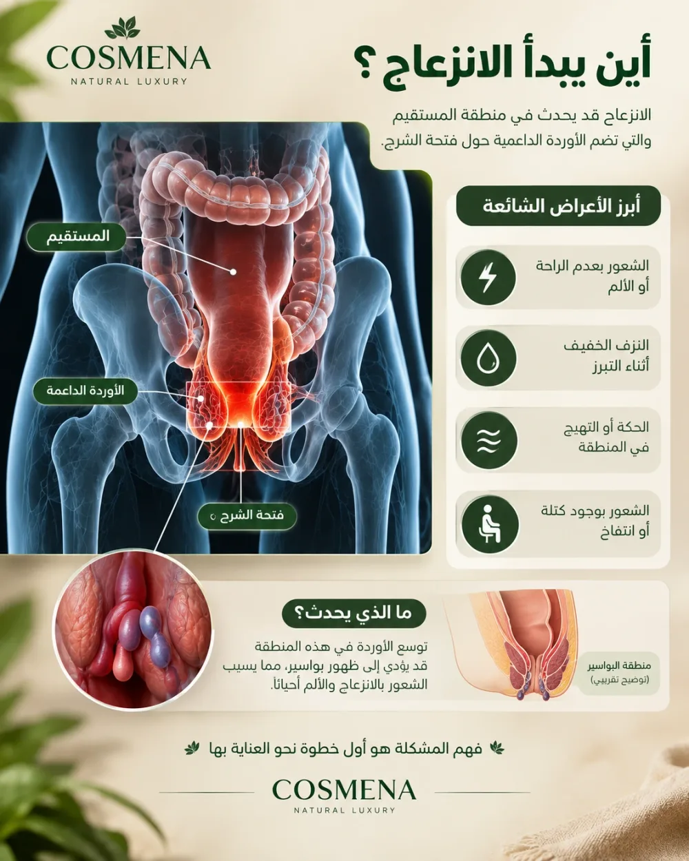 دهن الحنظل الطبيعي – للعناية بمنطقة البواسير وتخفيف الألام