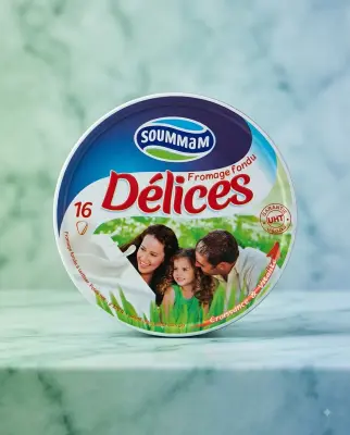 Délices جبن 16