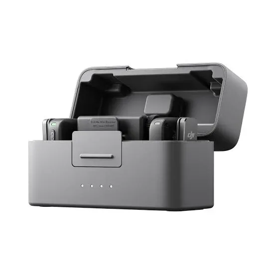 dii mic mini 2