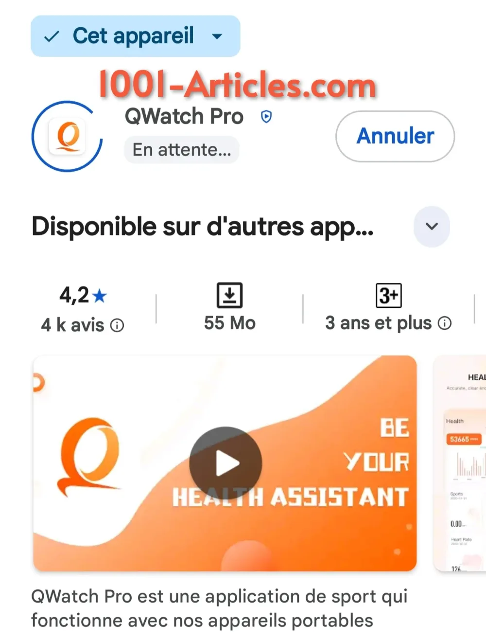 Bracelet Smart - Intelligent - suivi activités sportives - état de santé général