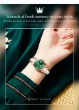 olevs montre femme