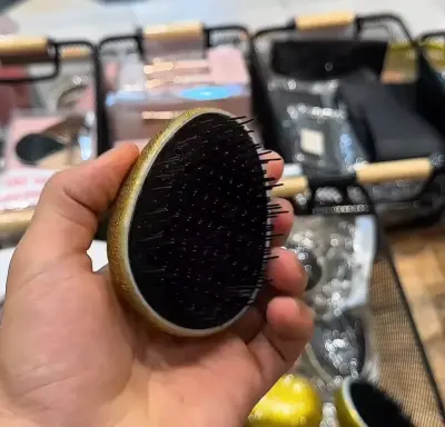 Brosse démêlante compacte forme galet