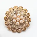 Broche  Salon Plastique  B02