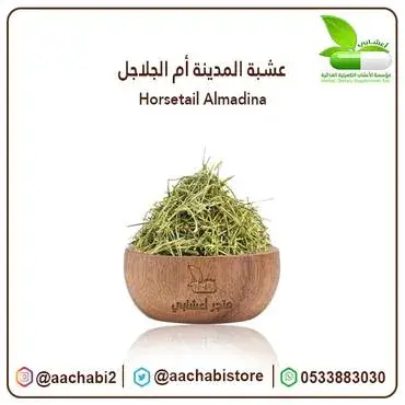 ام الجلاجل