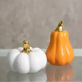 Citrouille décorative, deux pièces