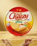 شيزي تحضيرة جبنية 16