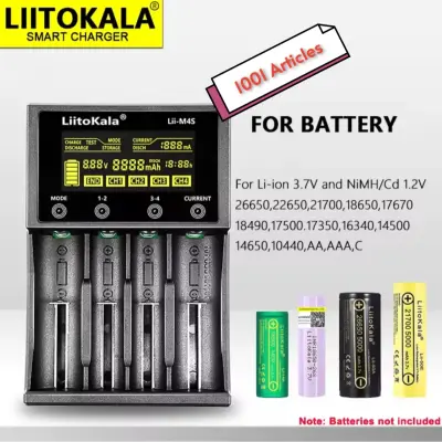 Chargeur Professionnel de Piles / Batteries