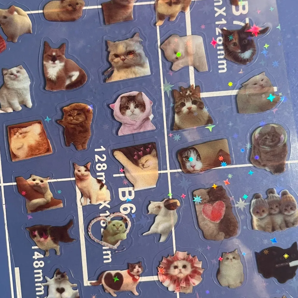 Cute cats stickers