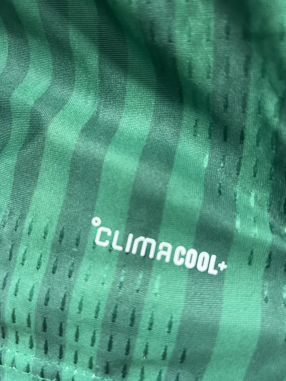 Maillot dz vert coup du monde