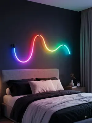 Neon flex light
