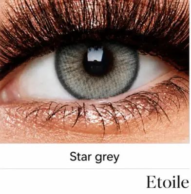 Star grey lentille