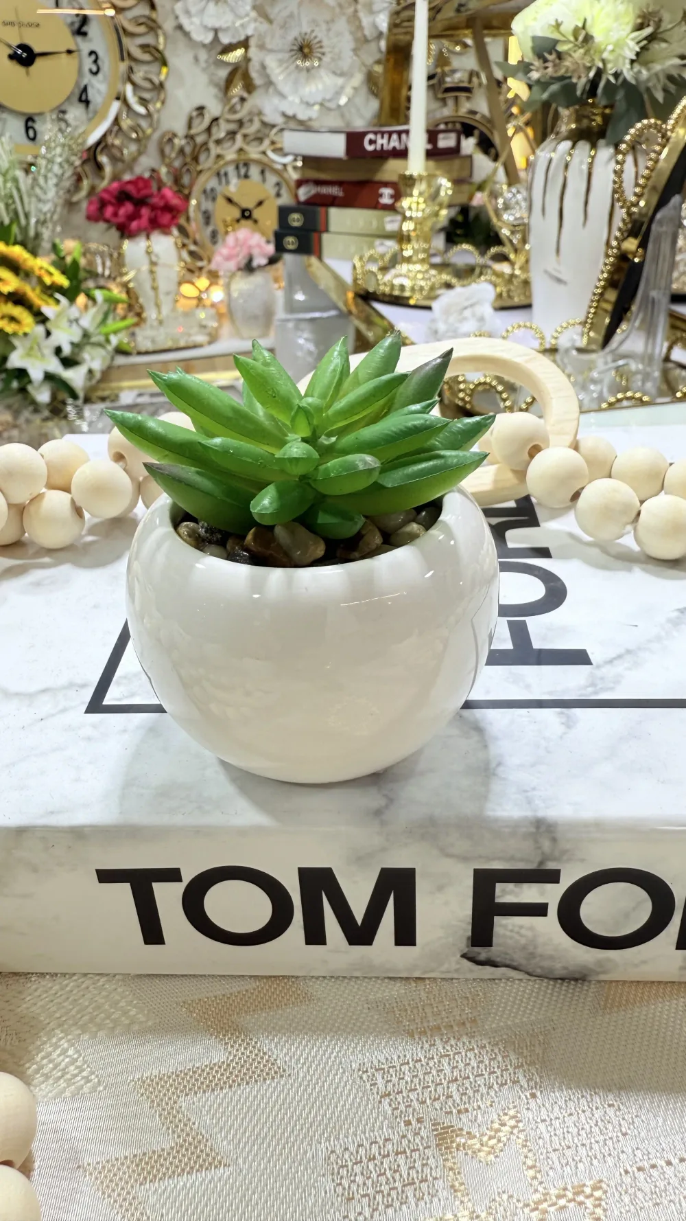 Mini cactus pot en verre