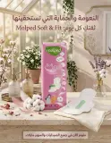 Molped (soft & fit)