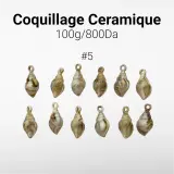 Coquillage Ceramique