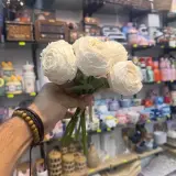 Fleur fanée