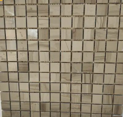 Ms028