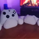 Support pour manette