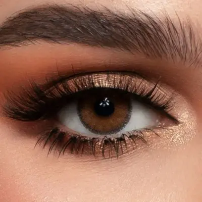Latine brown lentille
