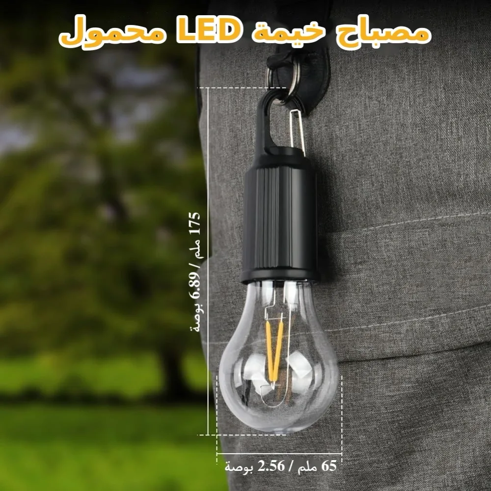 مصباحان متعددا الاستعمالات 💡