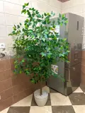 Ficus artificielle 180 cm - شجرة فيكوس اصطناعية
