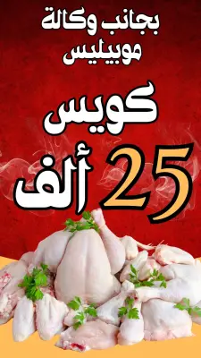 كويس دجاج