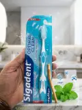 فرشاة أسنان سيقادنت (Sigadent)