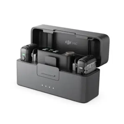 dii mic mini 2