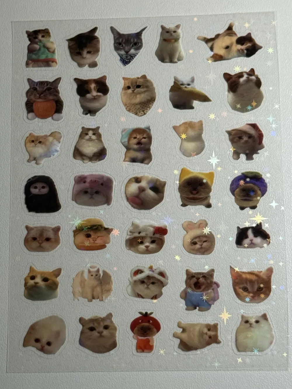Water proof cat stickers sheet