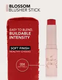 Blossom Stick Blush