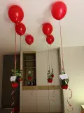 بــوكس جــوري