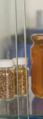 بروبوليس