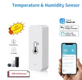 Capteur intelligent de température et du taux d'humidité, Hygromètre Tuya Smart