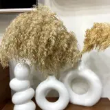 طقم 3 مزهريات