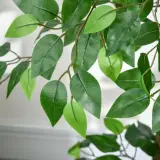 Ficus artificielle 80 cm - شجرة فيكوس اصطناعية