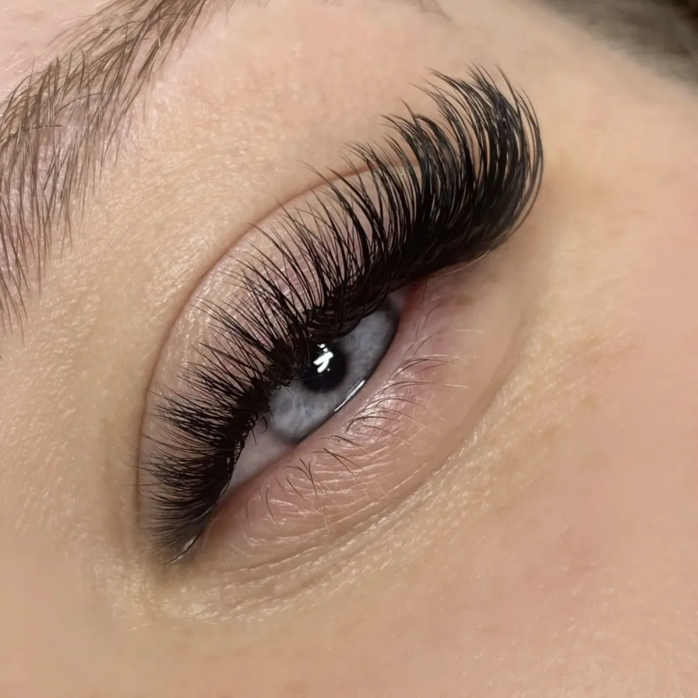 cat eye soft