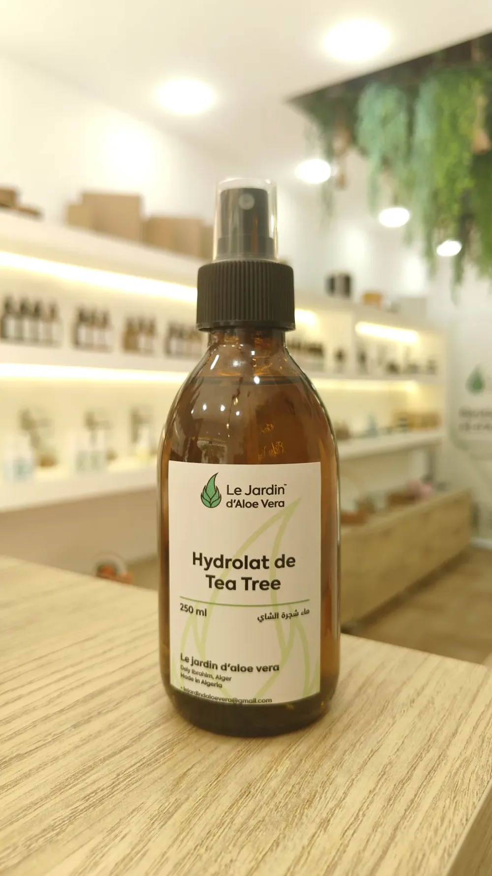 Hydrolat de Tea Tree مقطر شجرة الشاي