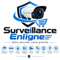 Surveillance enligne