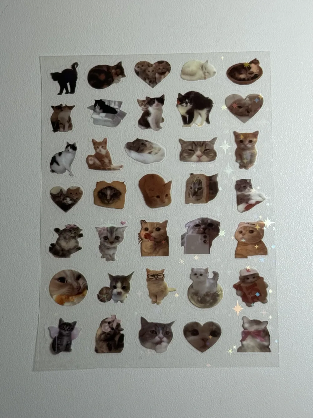 Water proof cat stickers sheet